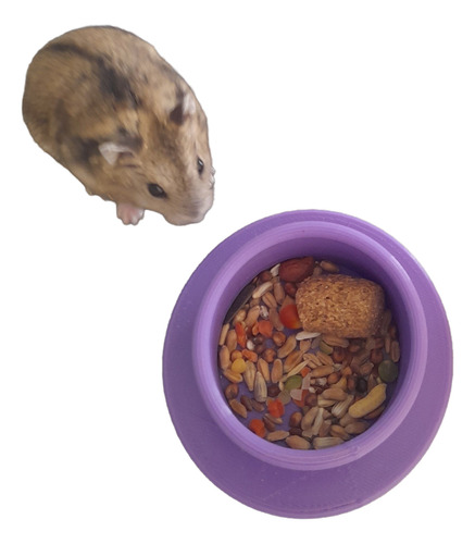Hamster Ruso - Topos Rusos- Hamsters Enanos - Topito Ruso Gris Oscuro Negro