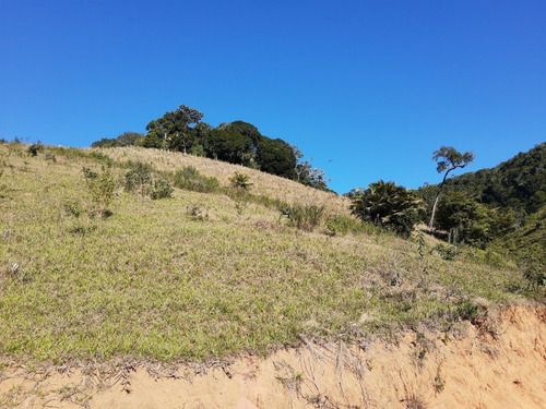 Imagem 8 de 14 de Vendo Chacara De 2,5 Alq Região De Natividade Da Serra (4238