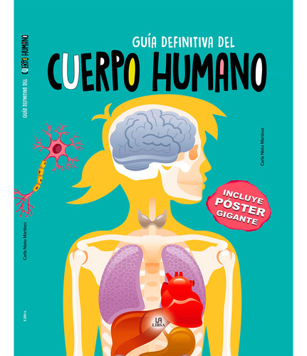 Guía Definitiva Del Cuerpo Humano