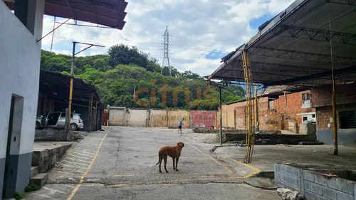 Lotes En Arriendo Caribe 643-8236038