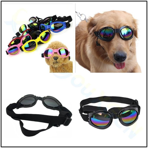 Imagem 2 de 4 de Óculos Pet Estilo Motoqueiro