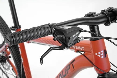 Haupt bicicletas 2025