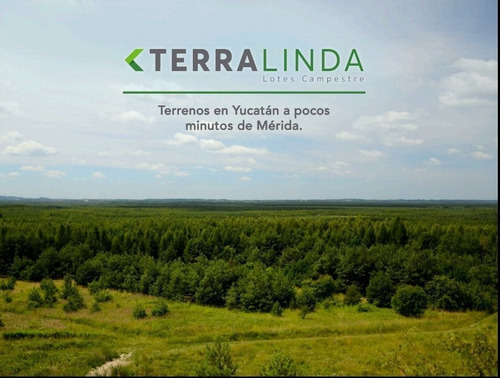 Imagen 1 de 9 de Terrenos Campestres En Venta Terralinda Mococha-yucatán Ctv