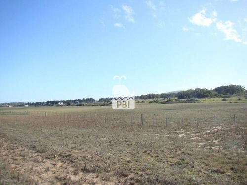 Imagen 7 de 9 de Chacra En Venta Punta Negra - Ref : Pbi589