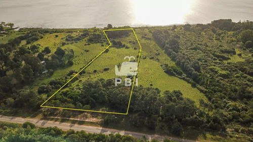 Venta De Chacra En Laguna Del Sauce, Punta Del Este - Ref : Pbi2154
