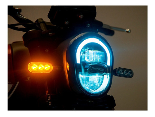 Imagen 13 de 14 de Benelli Leoncino 250