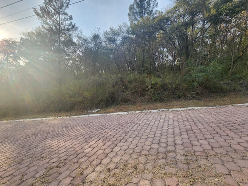 Venta Lote Gladiola 35 En Nueva Zona Del Fraccionamiento Con Bonitas Vistas, Todos Los Servicios Y Proyecto Incluído En Rancho San Diego Ixtapan De La Sal Edomex