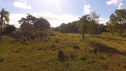 Imagem 3 de 15 de Chácara Para Venda Em Santo Antônio Da Patrulha, Roça Grande - Cwvcr0137_2-1533881