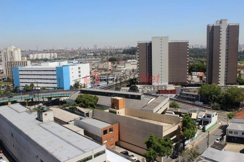 Imagem 21 de 30 de Belíssimo Apartamento Em Condomínio Padrão Para Venda No Bairro Fundação Em São Caetano - Oportunidade - 4816