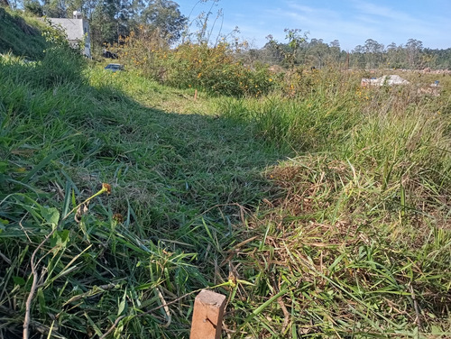 Terreno 258,30m Jardim Fortaleza Guarulhos Com Escritura