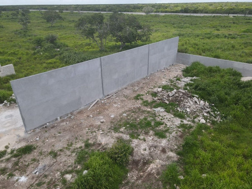 Imagen 17 de 21 de Terreno En Venta En Yucatan A 6 Minutos De La Playa Sn Crisa
