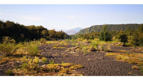 Pucon Parcela En Sector Cerduo - Oportunidad