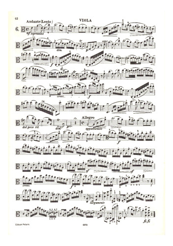 F.a. Hoffmeister: Studies For Viola / Viola - Etuden.