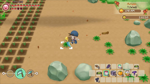Historia de temporadas: Friends Of Mineral Town Switch Midia Fisica