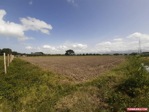 Imagen 5 de 6 de Terrenos En Venta Santa Cruz De Aragua 0412-8887550