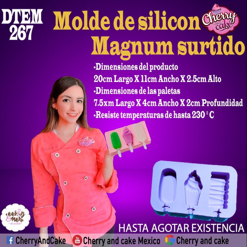 Molde Para Paletas Tipo Magnum Diferentes Formas Dtem267