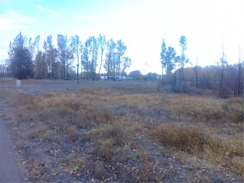 Imagen 1 de 4 de Vendo Terreno Canales De Plottier. Oportunidad!!!!