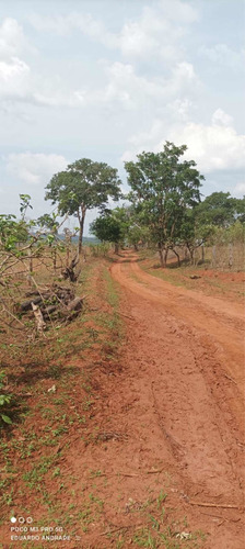 Imagem 3 de 13 de Fazenda Município De Comendador Gomes