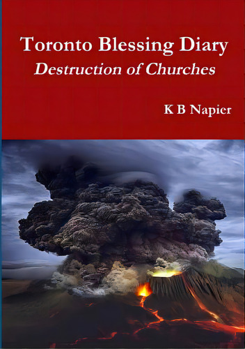 Toronto Blessing Diary Destruction Of Churches, De Napier, K. B.. Editorial Lulu Pr, Tapa Blanda En Inglés