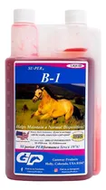 Comprar Su-per B-1 Vitamina Liquida 946ml Caballos Equinos