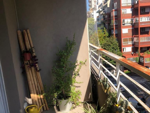 Amplio Monoambiente Con Balcon - Apto Profesional