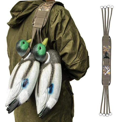 8 Correas Oxford Para Correa Para Cazar Palomas Mensajeras