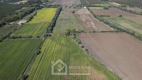 Predio De 87.8 Ha Con Derecho De Agua Y Acceso Asfaltado
