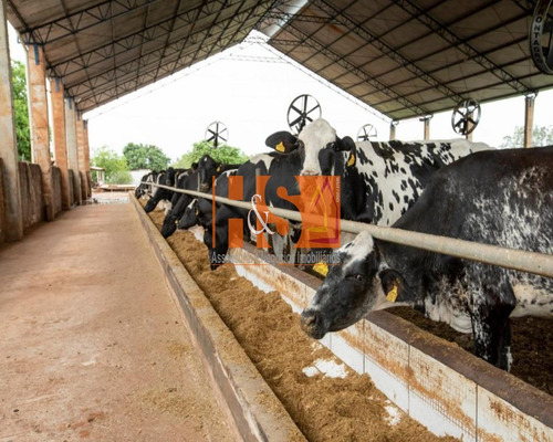 Imagem 15 de 21 de Fazenda - Fa00002 - 69904513