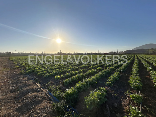 Terreno San Ramon