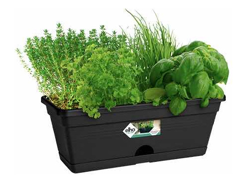 Maceta Jardinera Elho - Basics Trough Mini - Sustrato Inc