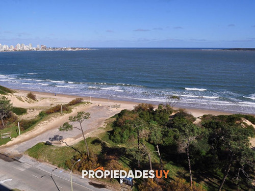 Imagen 19 de 26 de Vista Panoramica Al Mar, Sobre Playa Mansa