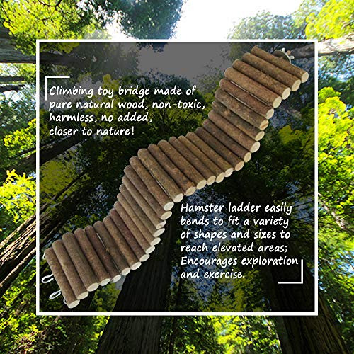 Puentes Colgantes Largos Ratas, TĂșnel Flexible Cobayas...