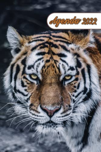 Agenda 2022: Agenda Semanal Tiger De Un Año Enero 2022 A Dic