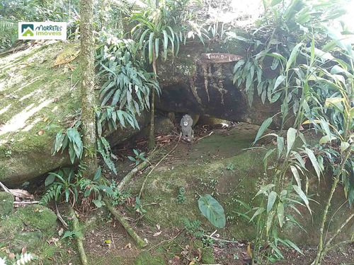 Imagem 22 de 30 de Chácara À Venda No Bairro Rio Sagrado - Morretes/pr - 276