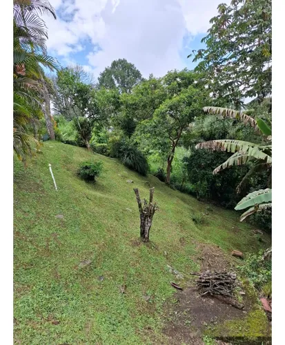 Rhbr-14310 (lote Independiente) Con Licencia (poblado, Loma Tesoro)
