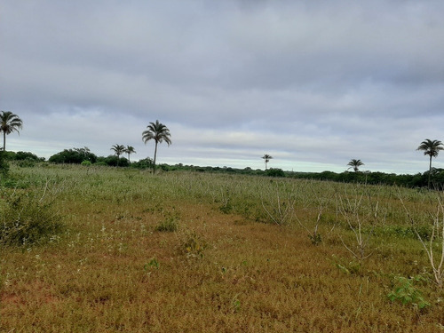Imagem 8 de 10 de Propiedade Para Criar E Para Agricultura