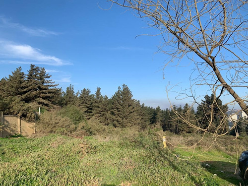 Sitio En Los Pinos Calle Calafquen