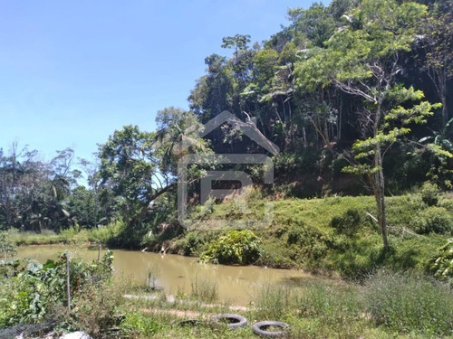 Imagem 17 de 26 de Chácara Com Lago Em Juquitiba - 239 - 70330798