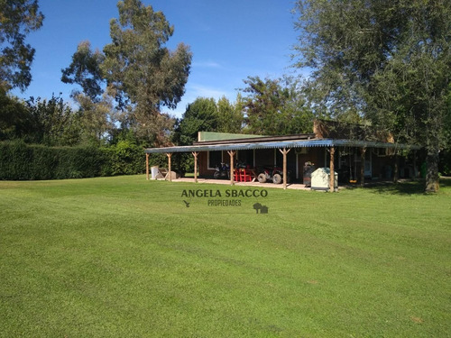 Imagen 1 de 30 de Vendo Quinta En Barrio Jularo