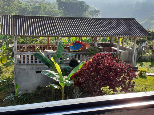 Imagen 14 de 30 de Venta De Finca En Pereira Vereda Combia .