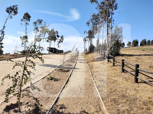 Maitencillo, Sitio De 5.625 Mts En Condominio