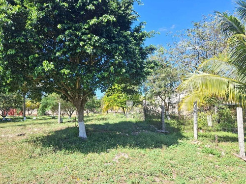 Venta Amplio Terreno De 6000 M2 Tahdzibichen, Merida, Yucatan.