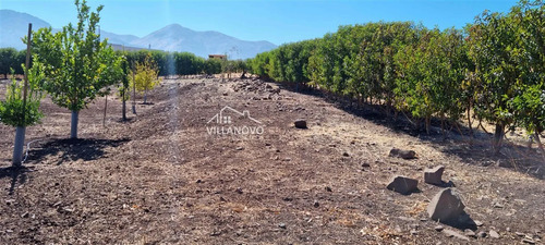 Parcela En Venta En Colina