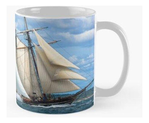 Taza Bellezas Locales Calidad Premium