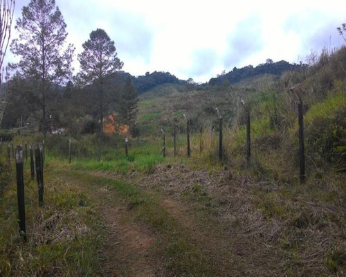 Imagem 16 de 30 de Fazenda - 0195 - 32820324