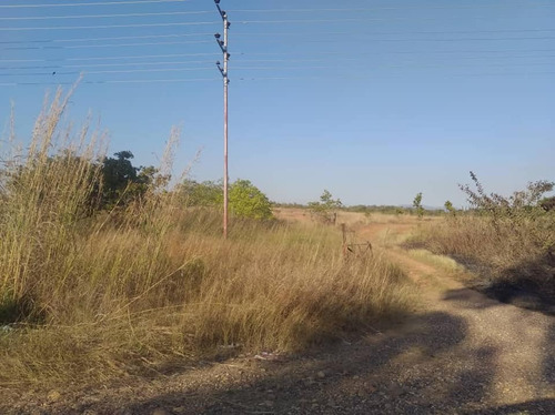 Fany Villasmil Vende Terreno En Cojedes Sector Cascabel