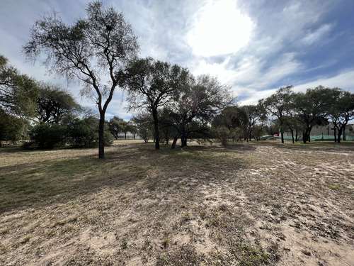 Lote En Venta Causana Central Zona Alta