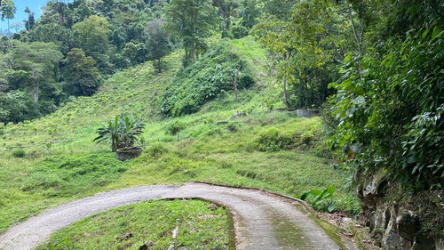 Imagen 2 de 28 de En Venta Granja Porcicola En Las Mesas Via Seboruco