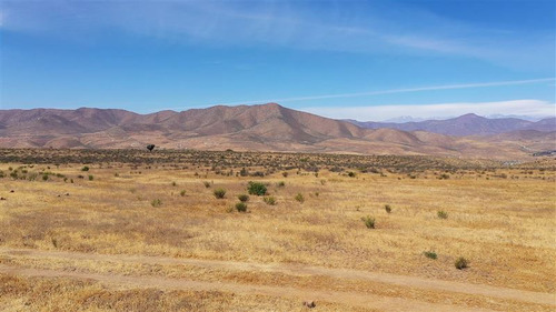 Venta Terreno De 11 Ha En Higueritas Unidas, Ovalle