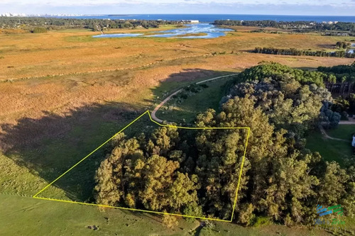 Venta De Terreno De 10.000 M2 En Las Silvias, Punta Ballena
